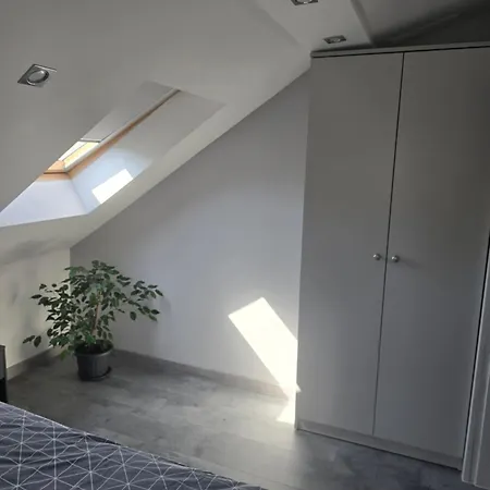公寓 White House Miskolc,penthouse *