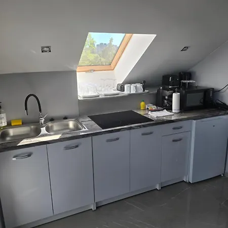 White House Miskolc,penthouse 公寓 米什科尔茨